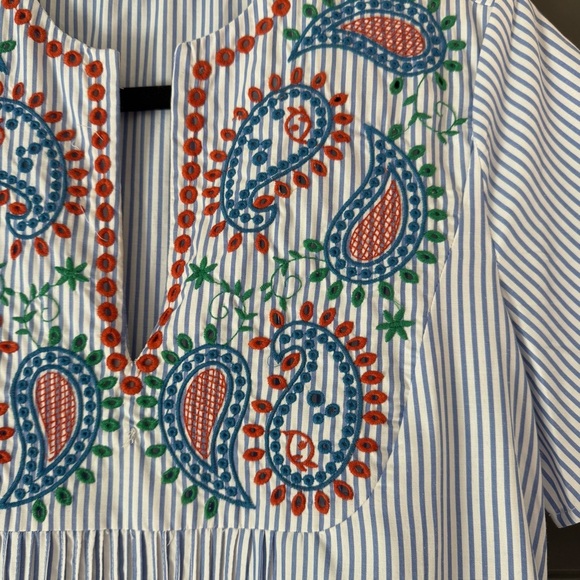 Striped Blue Embroidered Dress - Picture 3 of 3